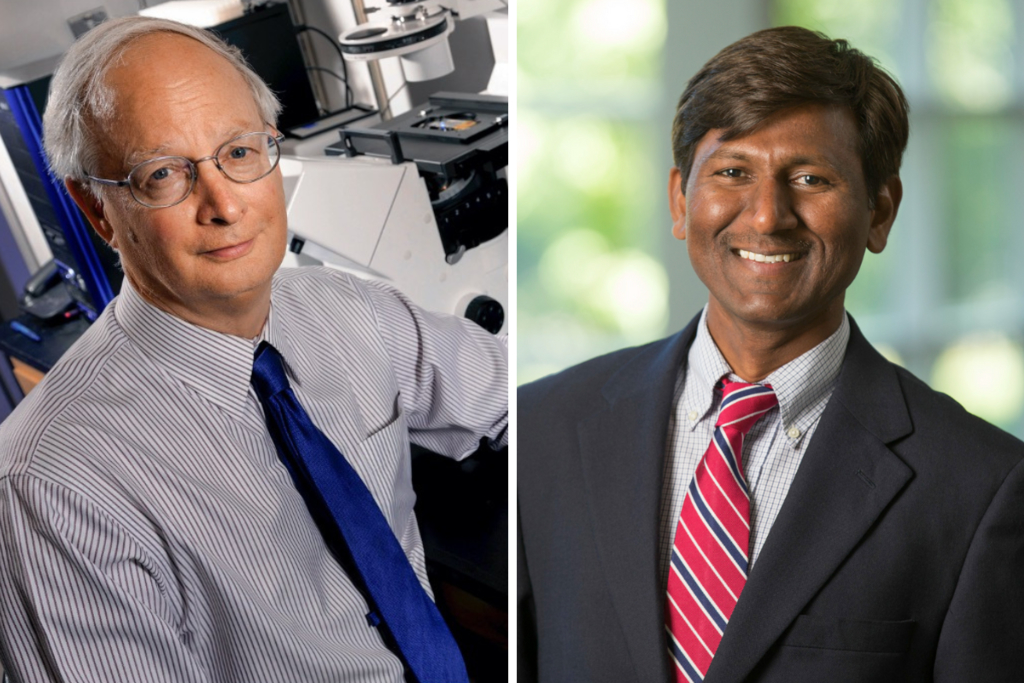 Emory neuroscientists aim to develop anti-inflammatory drugs for epilepsy patients 